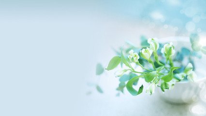 影響測功機(jī)的基本轉(zhuǎn)速的因素有哪些?